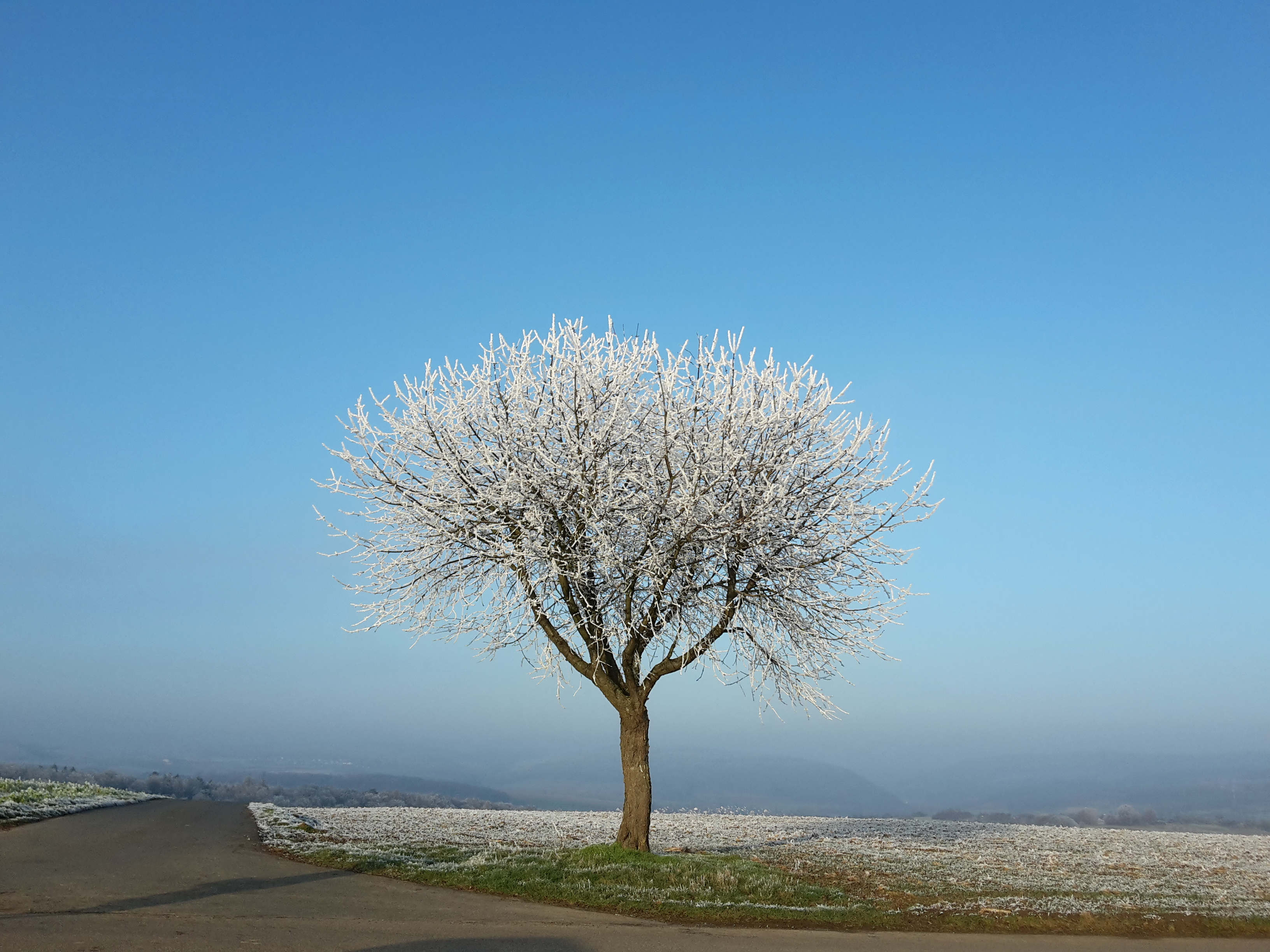 Geschichten aus unserer Heimat – Mönchberg - Ein Film von Primavera 
